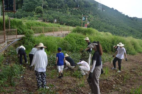 微信图片_20230629125704